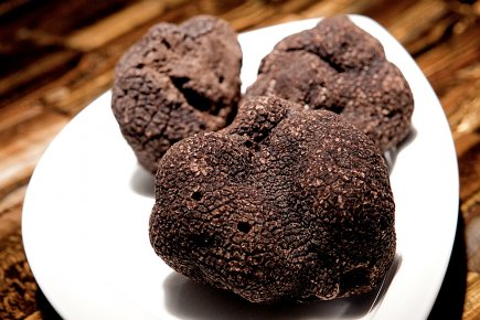 Everything you want to know about the truffle